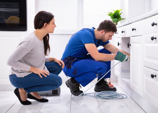 A plumber in blue overalls uses a tool to inspect pipes under a kitchen sink while a woman crouches nearby, watching him work. The bright kitchen, located in IL, features white cabinets and a potted plant on the counter.